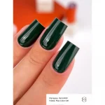 Gelinis nagų lakas Gemely Max color 041, 6ml - Image 3